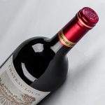 路易城堡（CHATEAU LOUIS）2019-2021年路易庄园古堡干红葡萄酒 法国波尔多圣埃美隆原瓶进口 2019年份单支装红酒