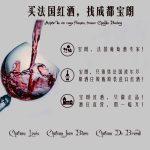 路易城堡（CHATEAU LOUIS）2015年 1.5L路易庄园珍藏干红葡萄酒 法国波尔多AOC特级 原瓶进口 单支装红酒