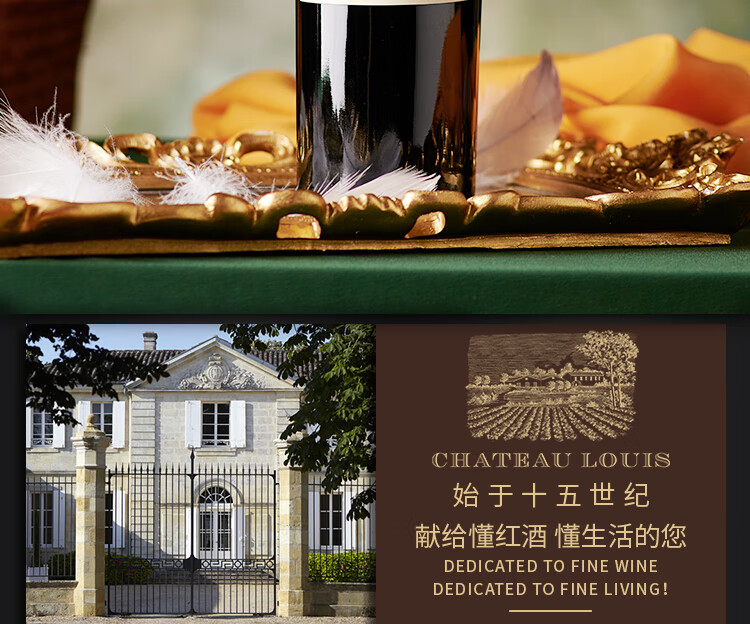 路易城堡（CHATEAU LOUIS）2019-2021年路易庄园古堡干红葡萄酒 法国波尔多圣埃美隆原瓶进口 2019年份单支装红酒