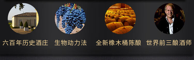 路易城堡（CHATEAU LOUIS）2019-2021年路易庄园古堡干红葡萄酒 法国波尔多圣埃美隆原瓶进口 2019年份单支装红酒