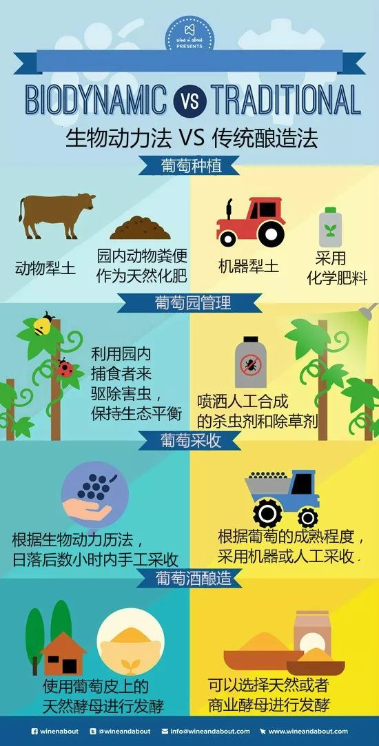 生物动力法与路易庄园