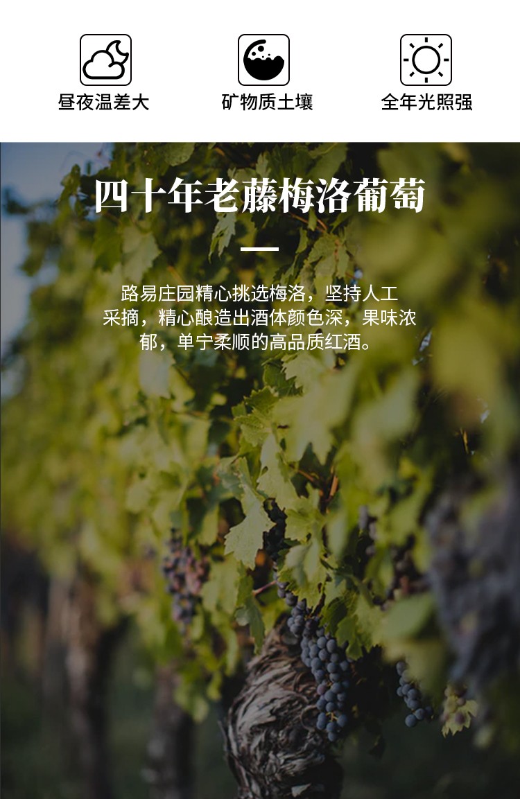 路易城堡（CHATEAU LOUIS） 2019年 路易庄园珍藏干红葡萄酒 法国波尔多AOC特级酒庄原瓶进口 单支装红酒