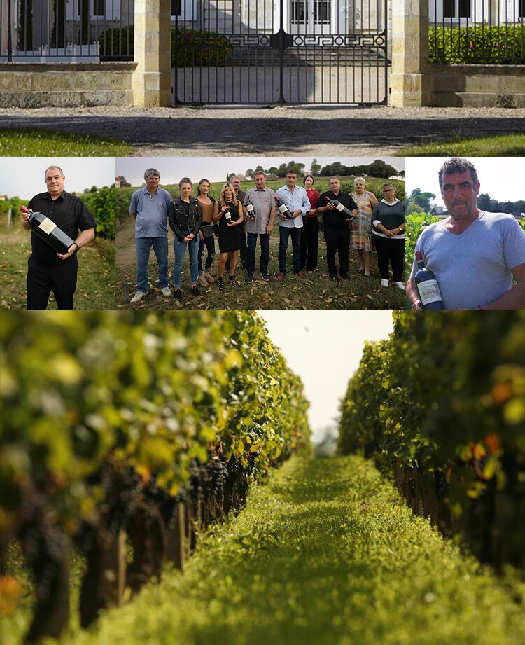 路易城堡（CHATEAU LOUIS） 2019年 路易庄园珍藏干红葡萄酒 法国波尔多AOC特级酒庄原瓶进口 单支装红酒