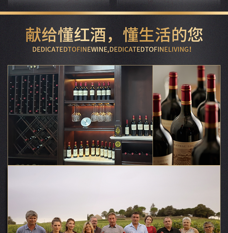 路易城堡（CHATEAU LOUIS）2019-2021年路易庄园古堡干红葡萄酒 法国波尔多圣埃美隆原瓶进口 2019年份单支装红酒