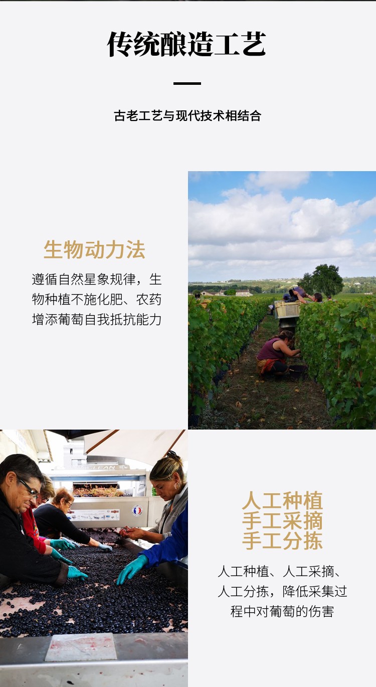 路易城堡（CHATEAU LOUIS） 2019年 路易庄园珍藏干红葡萄酒 法国波尔多AOC特级酒庄原瓶进口 单支装红酒